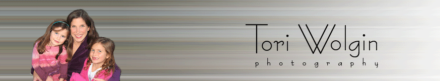 Tori Wolgin Logo